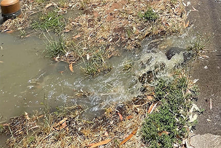 Burst Pipes