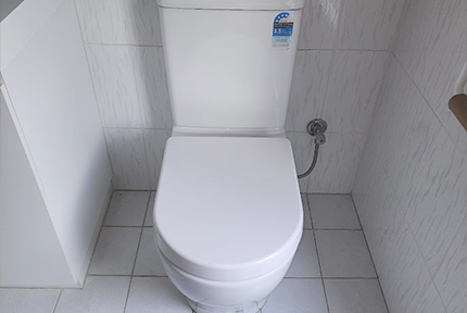 Toilet Plumbing